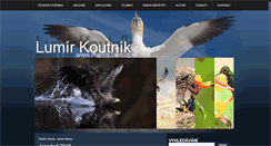 Desktop Screenshot of photolumir.com